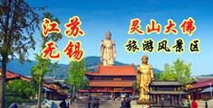 shuangfeiguifu江苏无锡灵山大佛旅游风景区